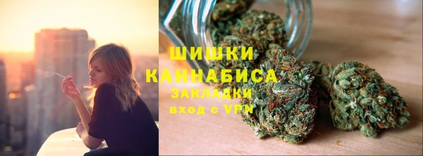 ГАЛЛЮЦИНОГЕННЫЕ ГРИБЫ Вяземский