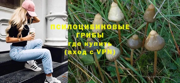 a pvp Снежногорск