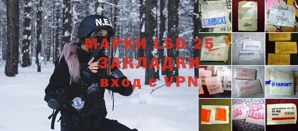 ГАЛЛЮЦИНОГЕННЫЕ ГРИБЫ Вяземский