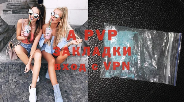 ГАЛЛЮЦИНОГЕННЫЕ ГРИБЫ Вяземский