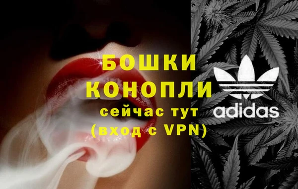 ГАЛЛЮЦИНОГЕННЫЕ ГРИБЫ Вяземский