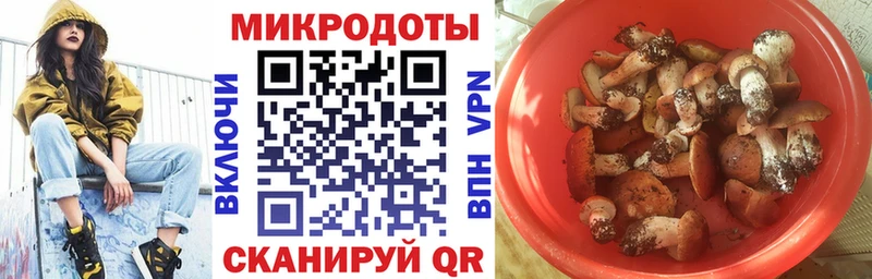 Псилоцибиновые грибы MAGIC MUSHROOMS  цена   Тула 